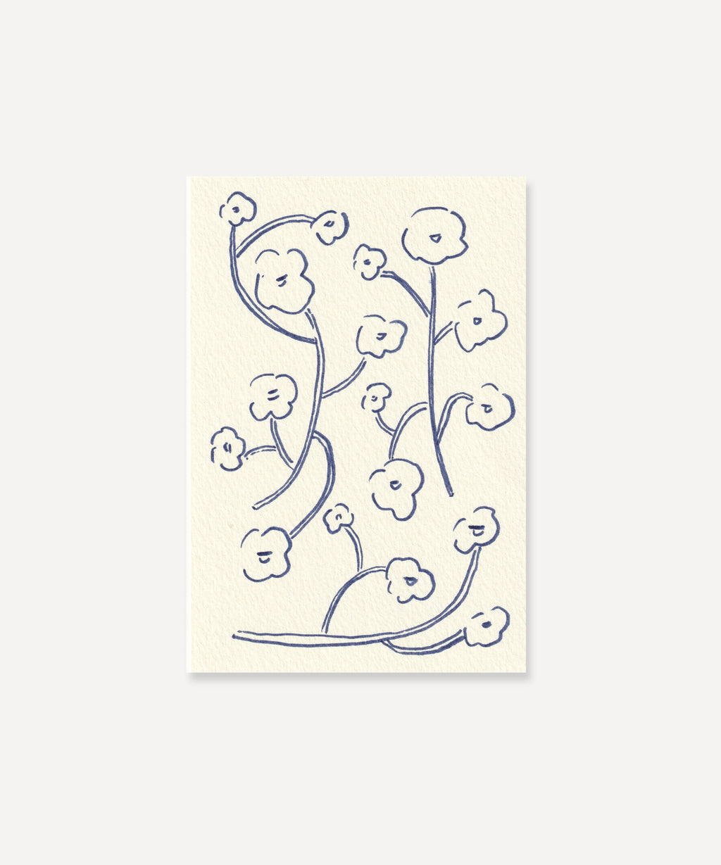 Poppies | Commonplace Drawings