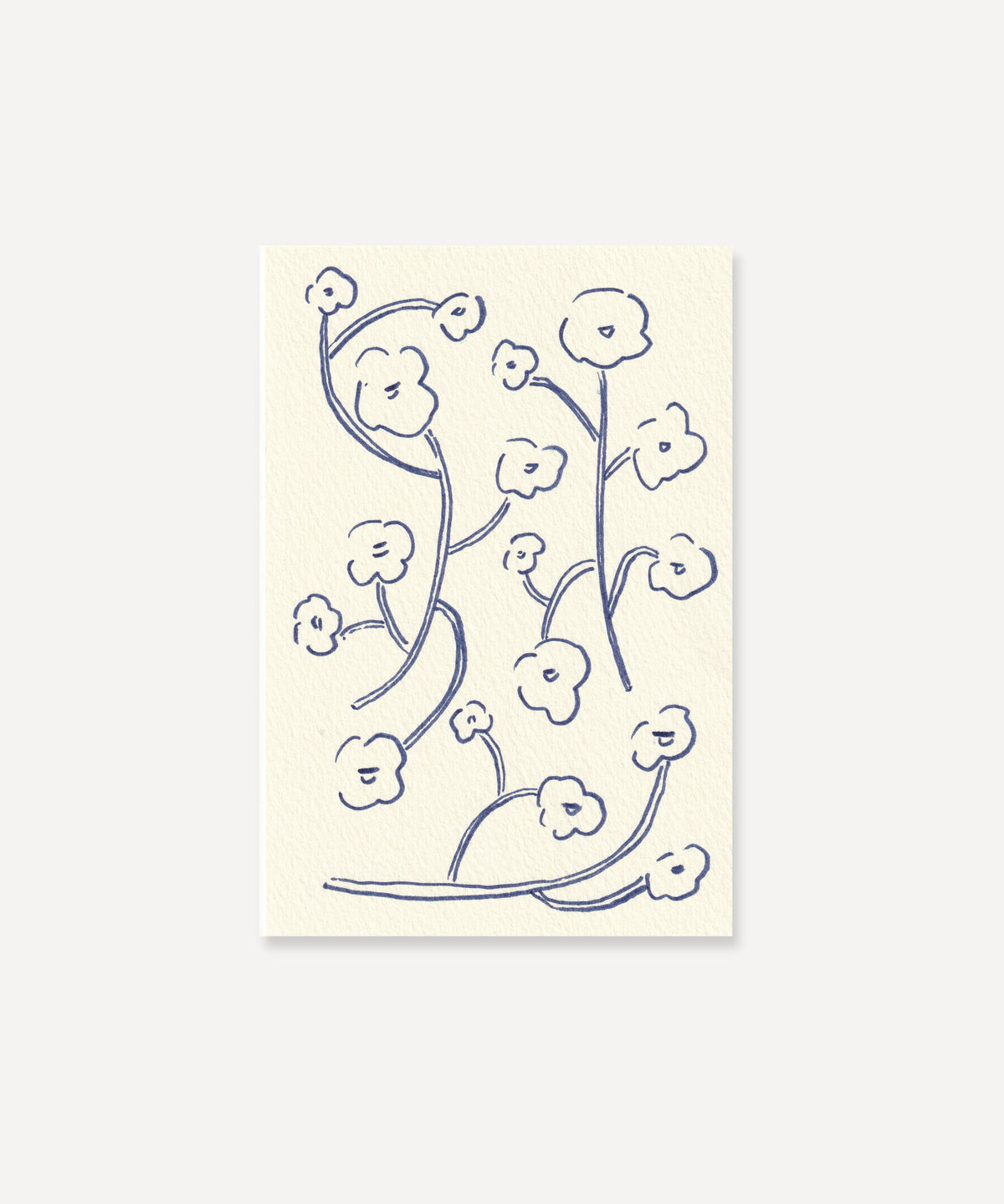 Poppies | Commonplace Drawings